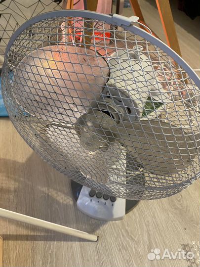 Вентилятор scarlett