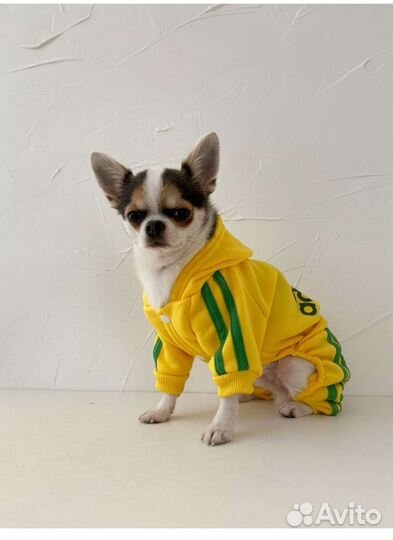 Комбинезон для средней собаки