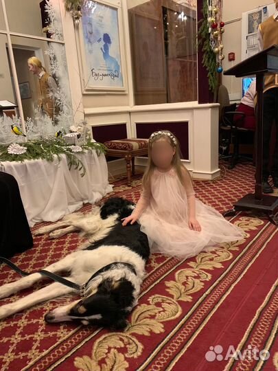 Платье tutu DU monde