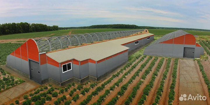 Быстровозводимые теплицы