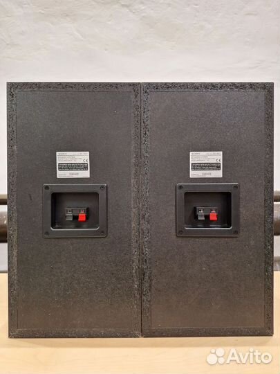 Колонки Sony SS-NX1, 100Вт