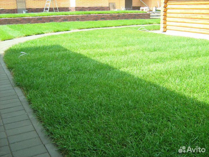 Рулонный газон c доставкой