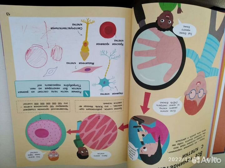 Невероятное путешествие вокруг/внутри челов. тела