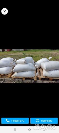 Пивная дробина, Барда