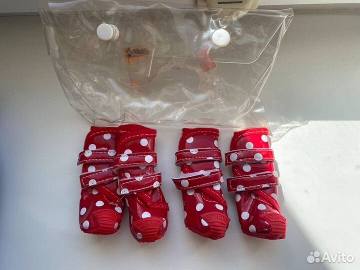 Одежда для маленьких собак