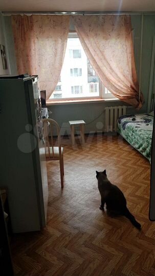 Комната 37 м² в 3-к., 3/5 эт.