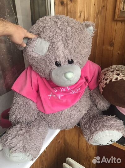 Мишка Тедди