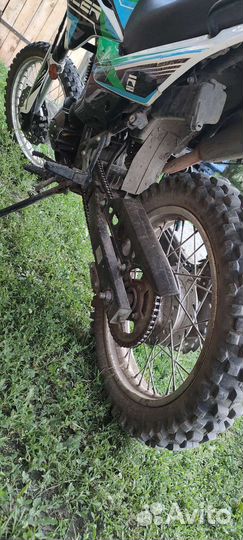 Рейсер пантера