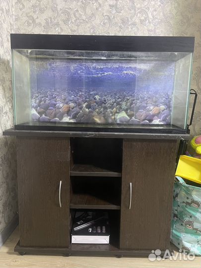Аквариум