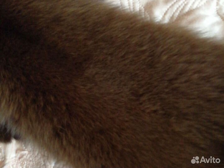 Натуральный мех Песца
