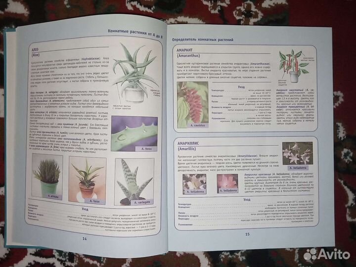 Энциклопедический справочник Комнатные растения