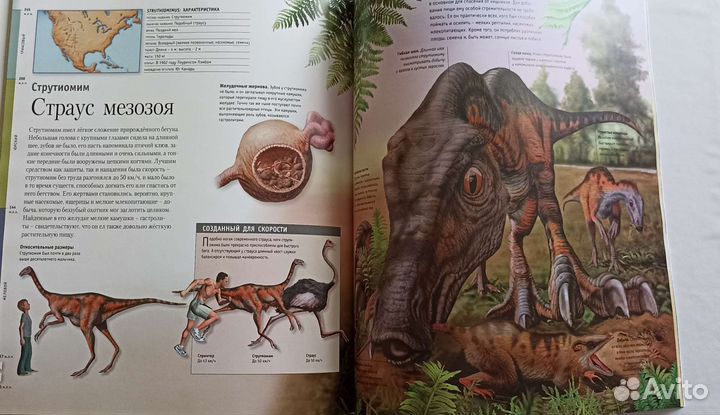 Книга про динозавров