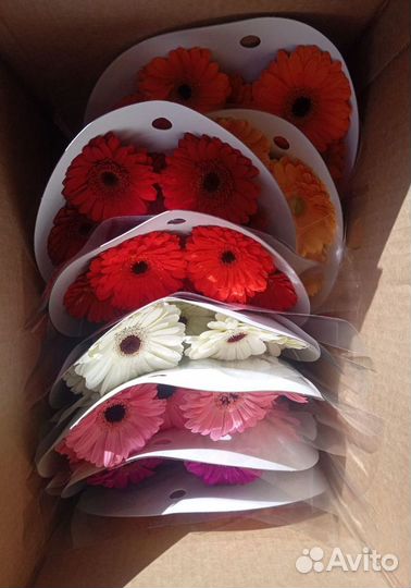 Букет невесты