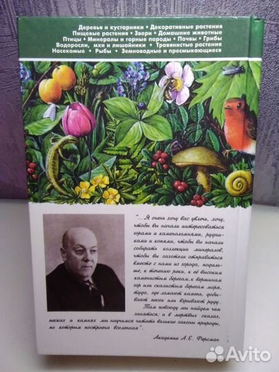 Минералы и горные породы