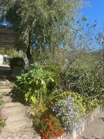 Участок 3,6 сот. (ИЖС)