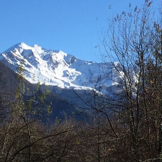 Участок 36 сот. (ИЖС)