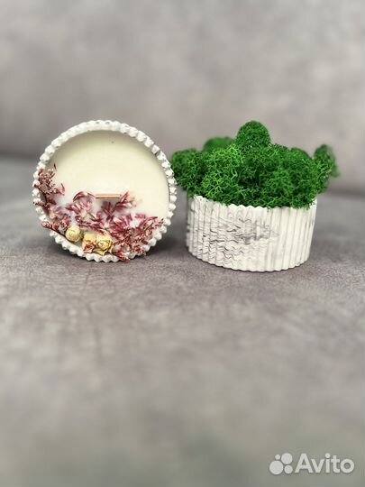 Кашпо с стабилизированным мхом +свеча-шкатулка