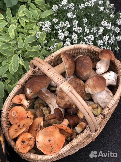 Продукты питания