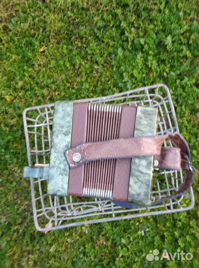 Гармонь детская