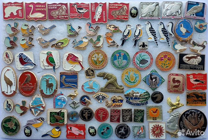 Фауна Зоопарки Животные Звери Птицы