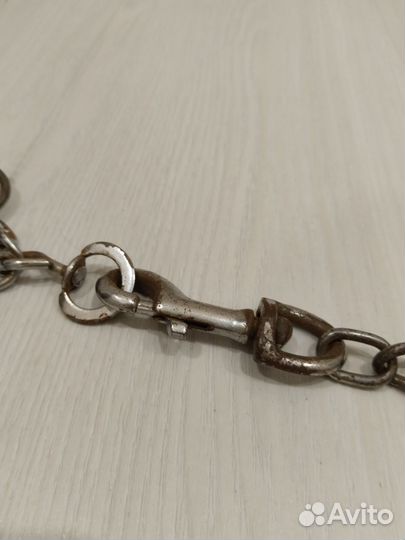 Строгий ошейник для собак