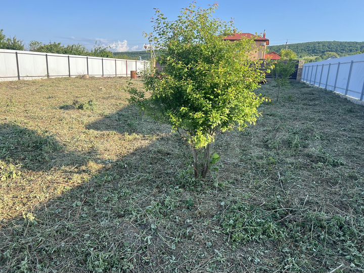 Участок 8 сот. (СНТ, ДНП)