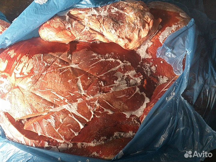 Корм для животных