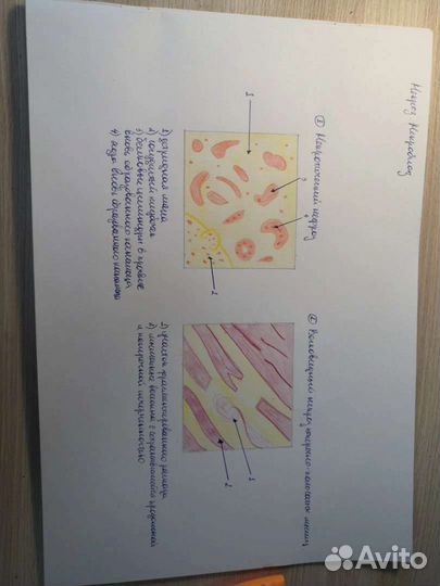 Нарисую рисунок в школу, институт