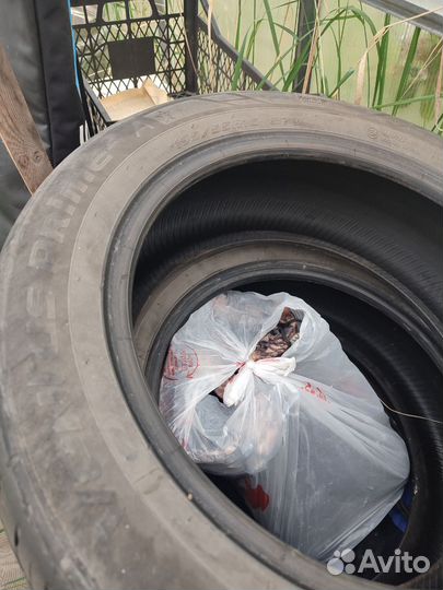 Hankook Ventus Prime 2 K115 195/55 R16 87V