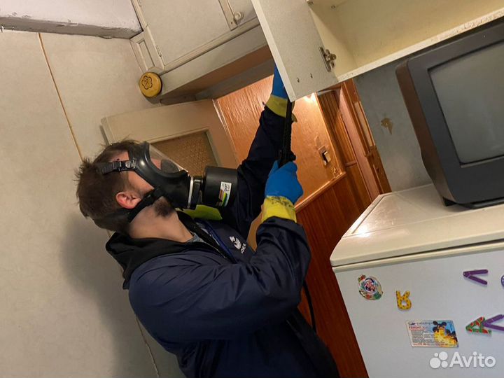 Уничтожение клопов тараканов Дезинфекция