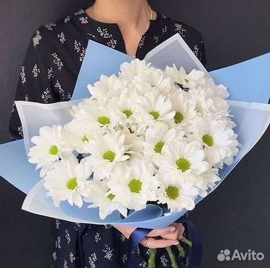 Хризантема Букет хризантем Доставка