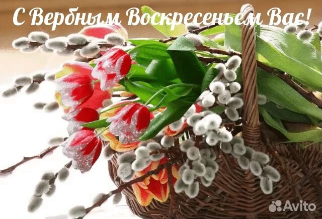 Утята индоутки