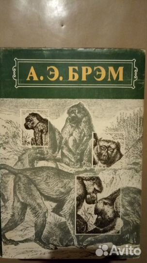 Брэм жизнь животных в 3-х томах