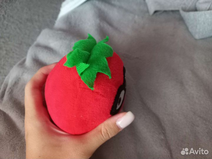 Сквиш помидор