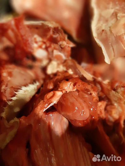 Мясо / Обрезь/ Говядина для собак