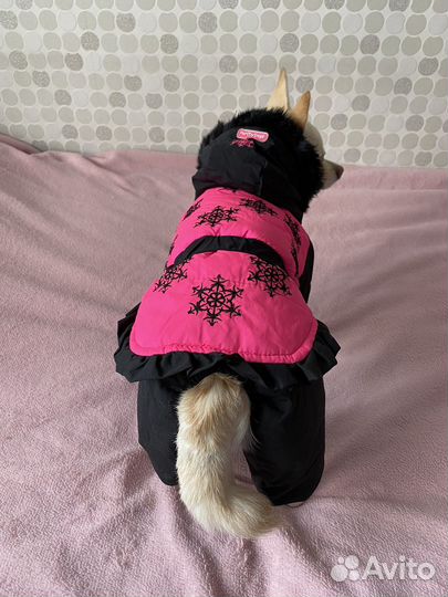 Зимний костюм для собак