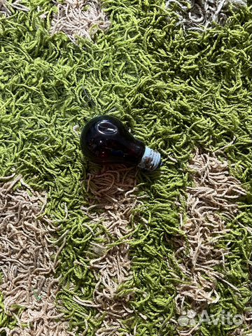 Лампочка инфракрасная