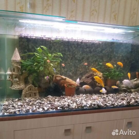 Аквариум 600 литров