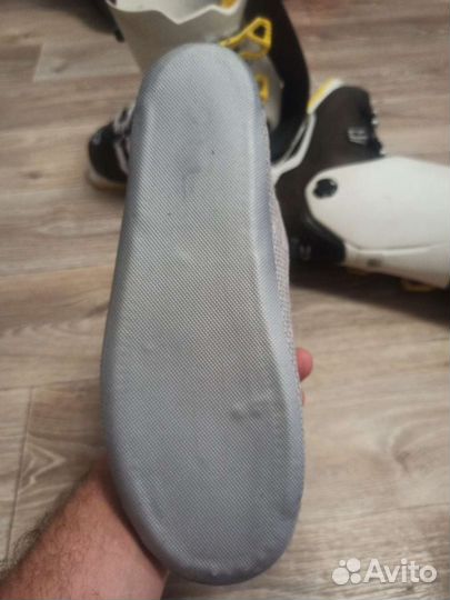 Горнолыжные ботинки Dalbello Avanti 100 (260-265)