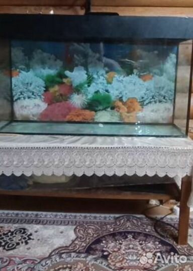 Аквариум