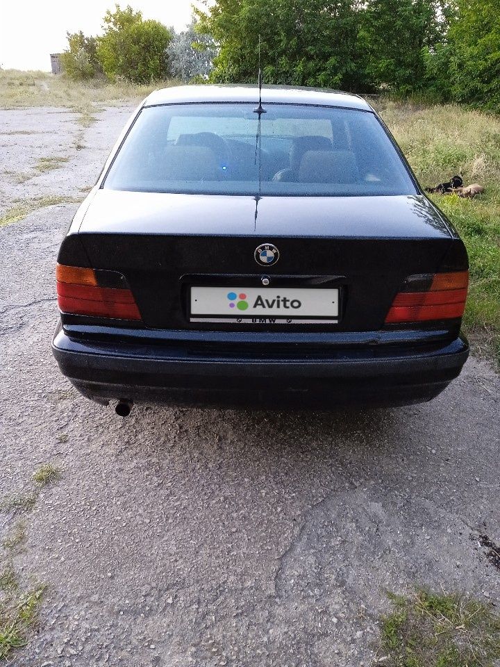 BMW 3 серия: фото владельца