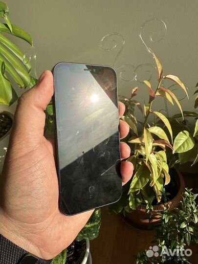 iPhone 12 mini, 128 ГБ