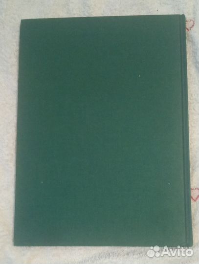 Зачарованный мир