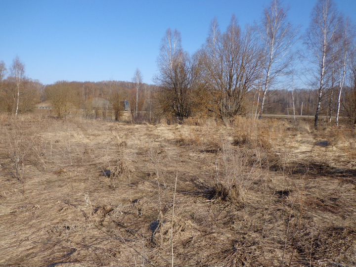 Участок 12 сот. (СНТ, ДНП)