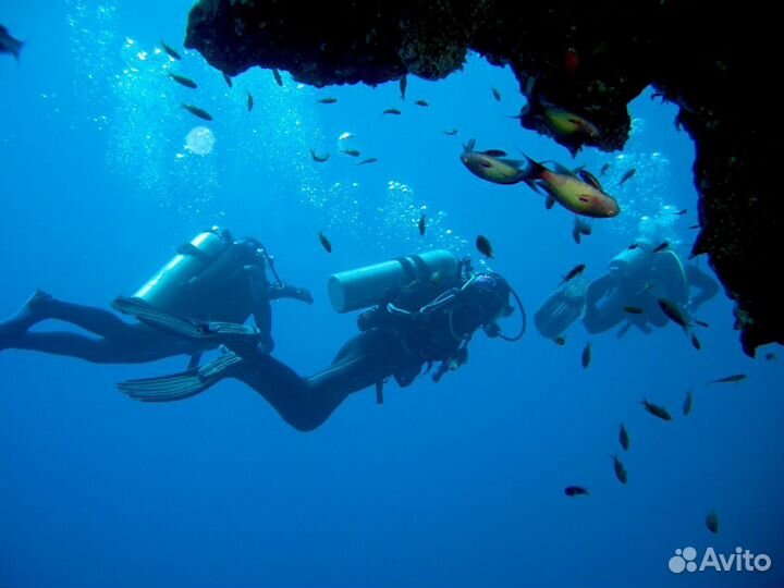 Дайвинг с катера / берега