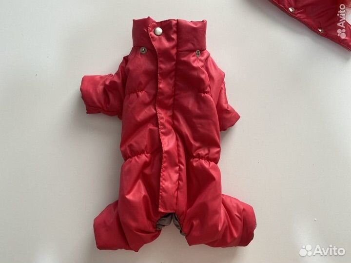 Одежда для собак