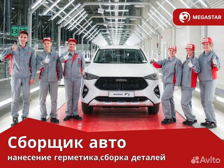 Сбор автомобилей на заводе. Вахта. Тула мс