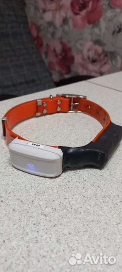 Gps трекер для собак