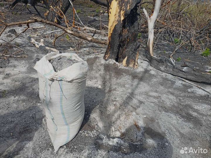 Зола древесная натуральная