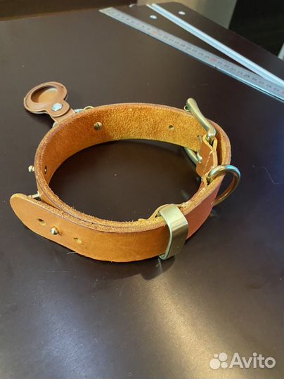 Ошейник для собак